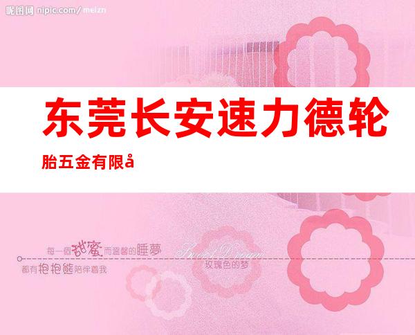东莞长安速力德轮胎五金有限公司